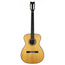 Fox Charles Fox Concert Sierra Nylon 000 Brazilian Natural - Used