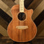 Cole Clark Angel 2 - Blackwood Top and sides