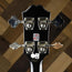 Epiphone Jack Casady Bass - Used