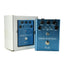 Fender Mirror Image Delay - Used