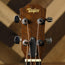 Taylor GS Mini-E Bass - Used