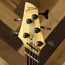 Dingwall Combustion 5 String Green With GB - Used