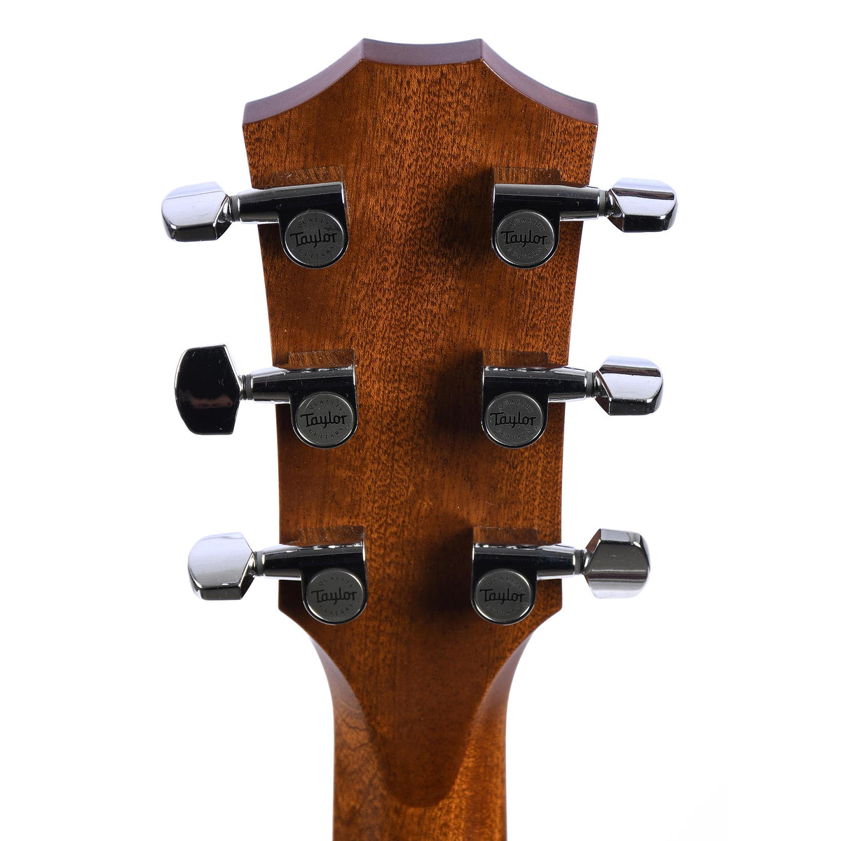 Taylor T5-X Natural Ovankgol With Case And Bag - Used