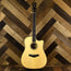 Taylor 2012 DNCE-FLTD Fall Limited Dreadnought OHSC - Used