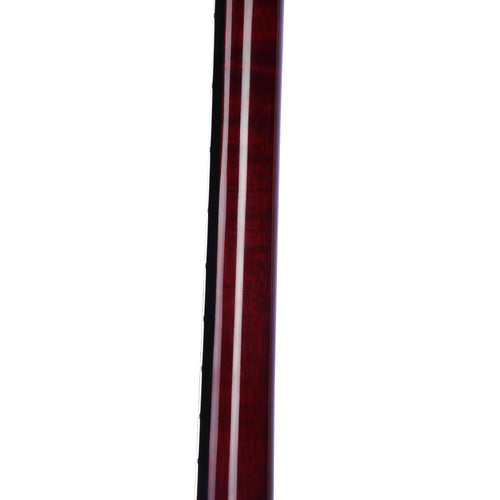 Epiphone 2017 Dot Cherry With Bigsby Vibramate And HSC - Used