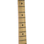 Fender 1979 Stratocaster Hardtail Natural With HSC - Used