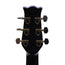 Alvarez Yairi DY88 Black With OHSC - Used