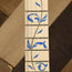 Ibanez JEM77P With Gig Bag - Used