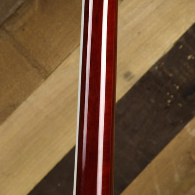 Ibanez 2017 EKM10T Wine Red With OHSC - Used
