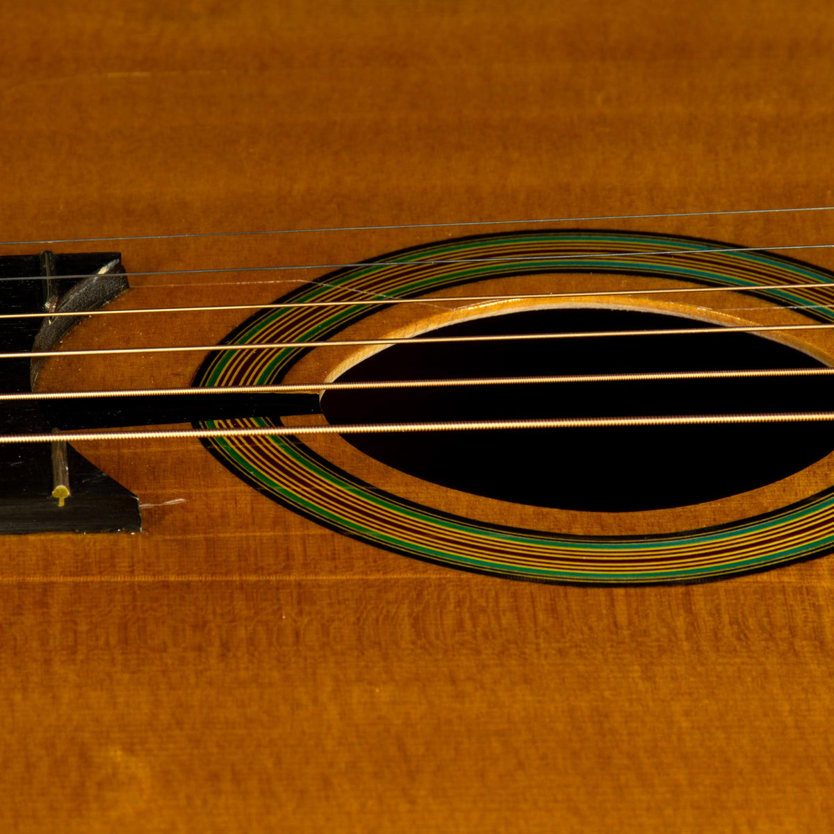 Michael Dunn 2005 Fleche D'or With OHC - Used