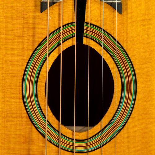 Michael Dunn 2005 Fleche D'or With OHC - Used