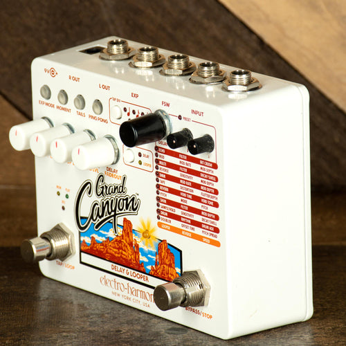 Electro Harmonix Grand Canyon Delay And Looper - Used