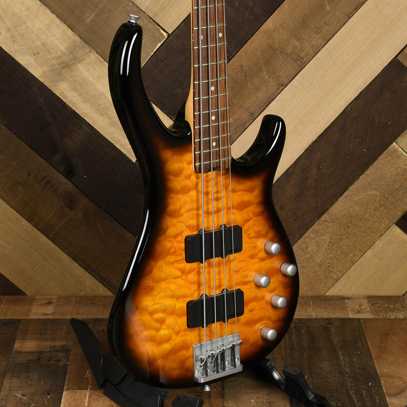 Peavey Fury IV Bass With OHSC - Used