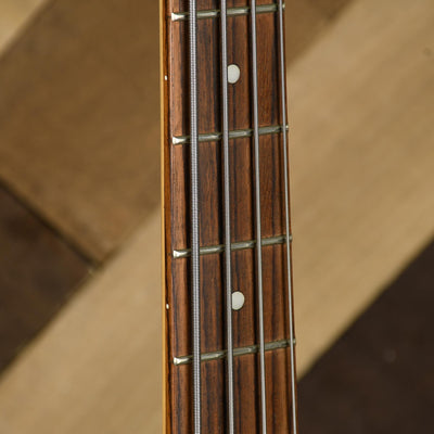 Peavey Fury IV Bass With OHSC - Used