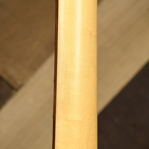 Peavey Fury IV Bass With OHSC - Used