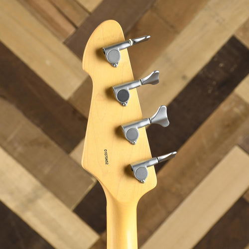 Peavey Fury IV Bass With OHSC - Used