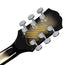 Epiphone Adam Jones Les Paul Custom Art Guitar - Frazetta's "The Berserker" in Antique Silverburst
