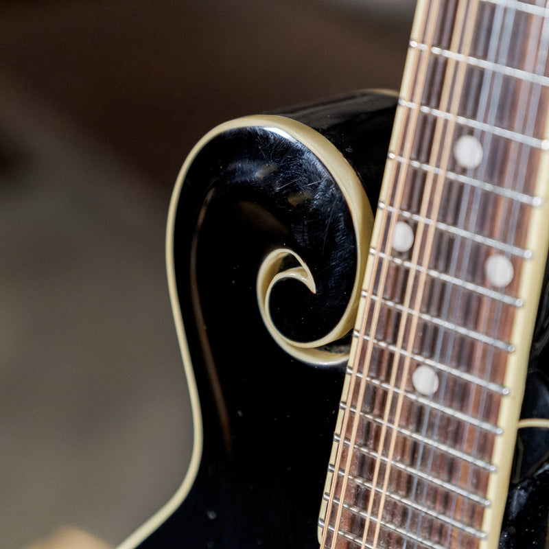 The Loar LM 520VS 3 Tone Sunburst With Hard Case - Used