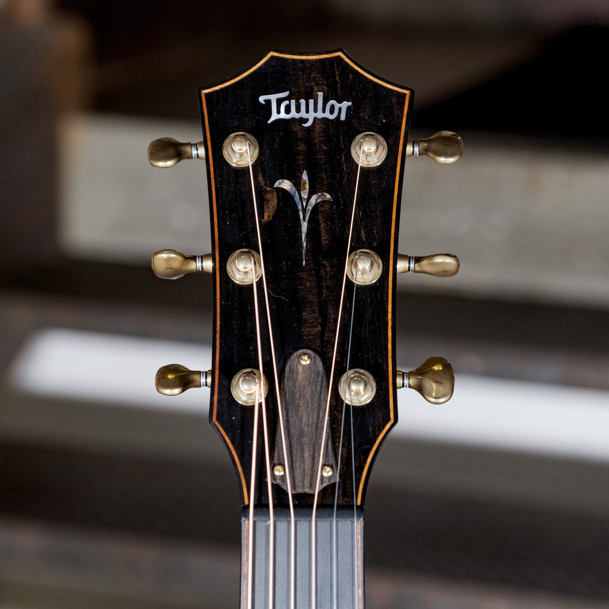 Taylor 2019 K14CE Builders Edition With OHSC - Used