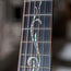 Taylor 2019 K14CE Builders Edition With OHSC - Used