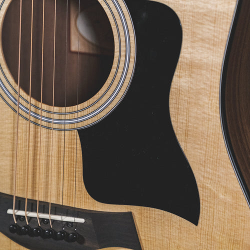 Taylor 2021 110E With OGB - Used