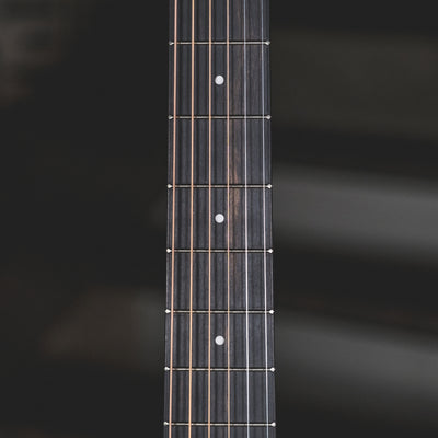 Taylor 2021 110E With OGB - Used