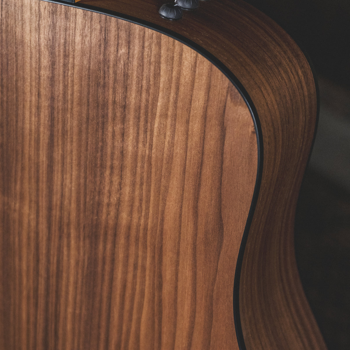 Taylor 2021 110E With OGB - Used