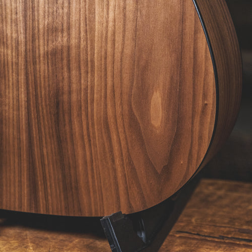 Taylor 2021 110E With OGB - Used