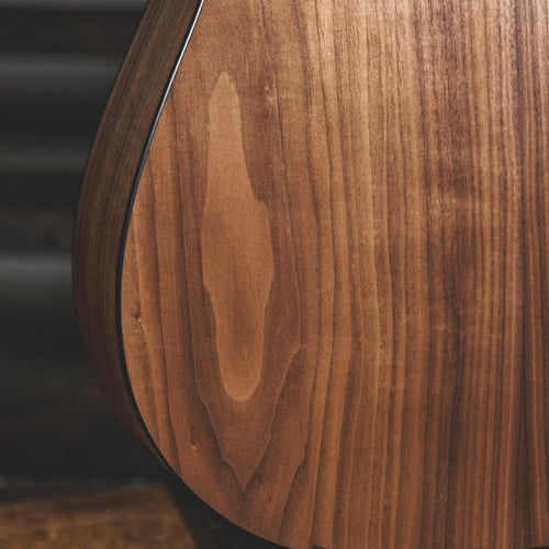 Taylor 2021 110E With OGB - Used