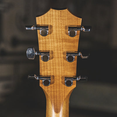 Taylor 2021 110E With OGB - Used