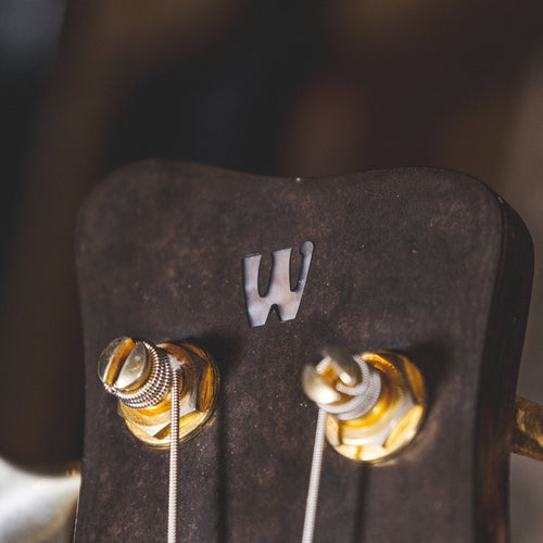 Warwick 1998 Dolphin Pro 1 Natural With OGB - Used