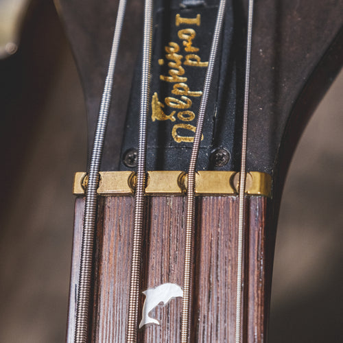 Warwick 1998 Dolphin Pro 1 Natural With OGB - Used