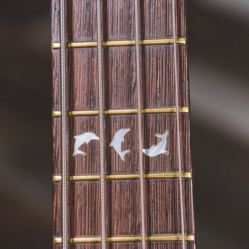 Warwick 1998 Dolphin Pro 1 Natural With OGB - Used