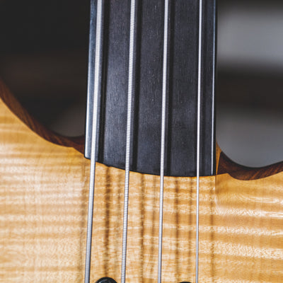 Warwick 2008 Infinity F-Hole Fretless Flamed Maple With Gig Bag - Used