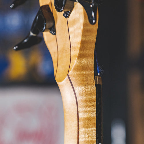 Warwick 2008 Infinity F-Hole Fretless Flamed Maple With Gig Bag - Used