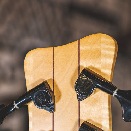 Warwick 2008 Infinity F-Hole Fretless Flamed Maple With Gig Bag - Used