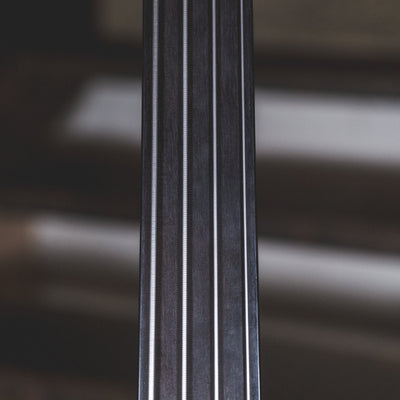 Warwick 2008 Infinity F-Hole Fretless Flamed Maple With Gig Bag - Used
