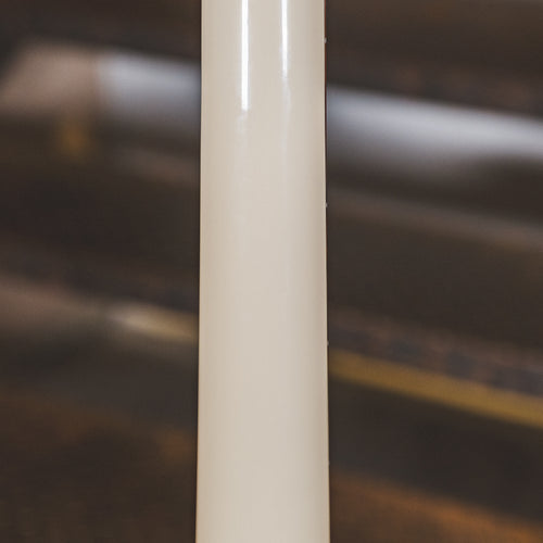 Danelectro D59 Divine Dark Walnut With Gig Bag - Used