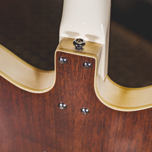 Danelectro D59 Divine Dark Walnut With Gig Bag - Used