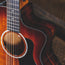 Taylor 224ce Koa Deluxe With OHSC - Used