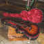 Taylor 224ce Koa Deluxe With OHSC - Used