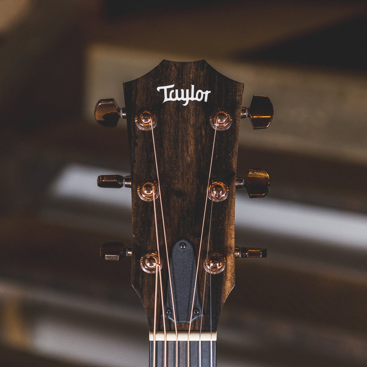 Taylor 224ce Koa Deluxe With OHSC - Used