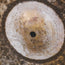 Meinl Byzance Extra Dry Hi-Hats 14" - Used