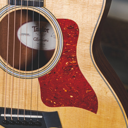 Taylor 2021 GS Mini Rosewood With OGB - Used