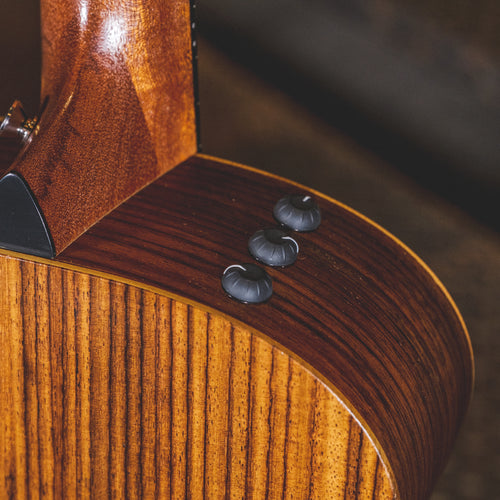 Taylor 2021 GS Mini Rosewood With OGB - Used