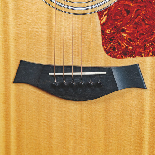 Taylor 2010 314CE With OHSC - Used