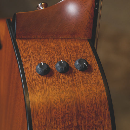 Taylor 2010 314CE With OHSC - Used