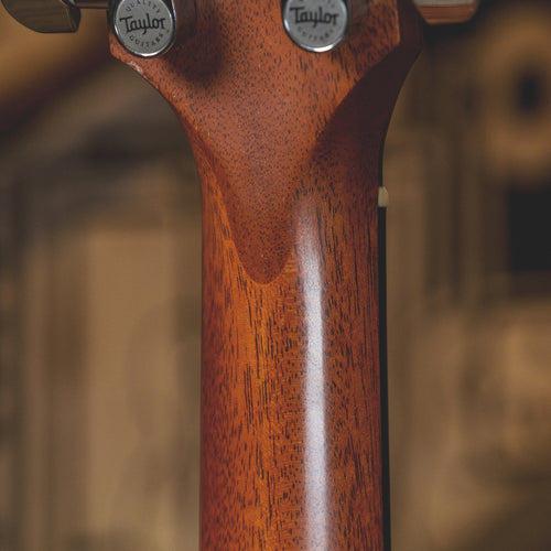 Taylor 2010 314CE With OHSC - Used