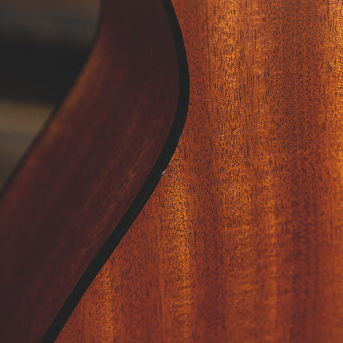 Taylor 2010 314CE With OHSC - Used