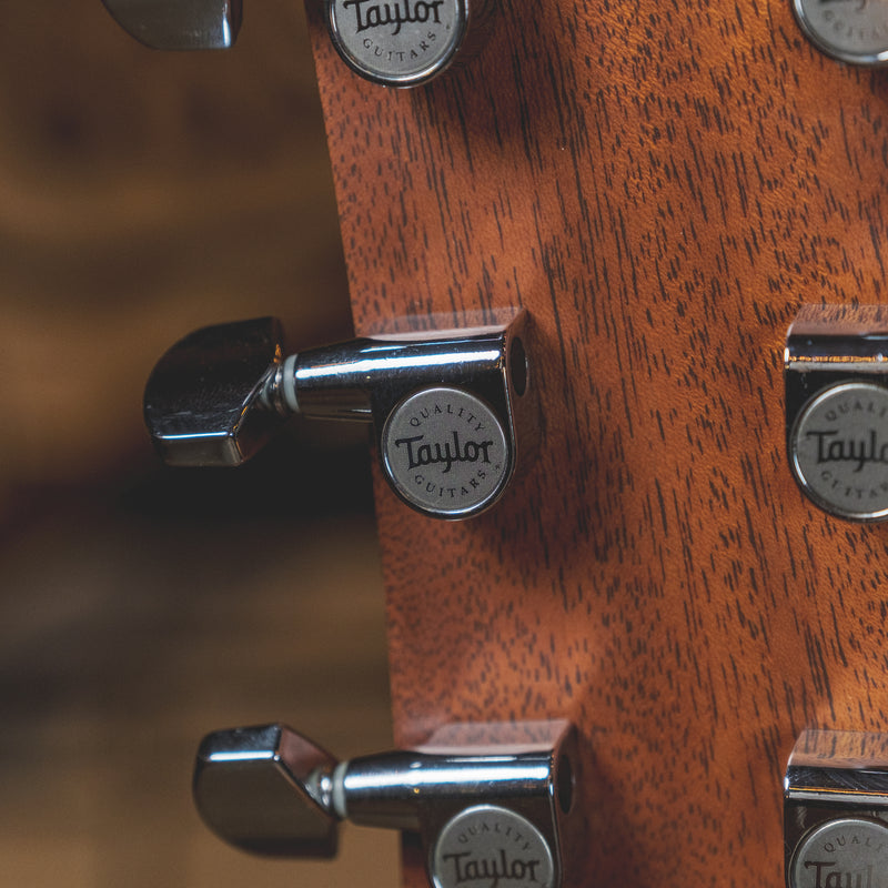 Taylor 2010 314CE With OHSC - Used